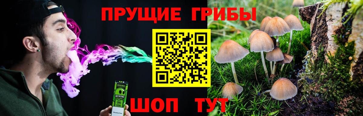 Каменск-Уральский  Галлюциногенные грибы ЛСД  Вход с VPN 
